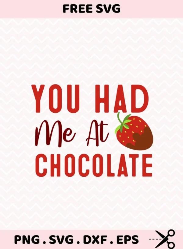 You Had Me At Chocolate" quote as a Chocolate Strawberry Cricut Design for vinyl cutting.